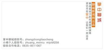 聊城新闻头条聊城爆料,爆料的背后，揭秘聊城最新动态