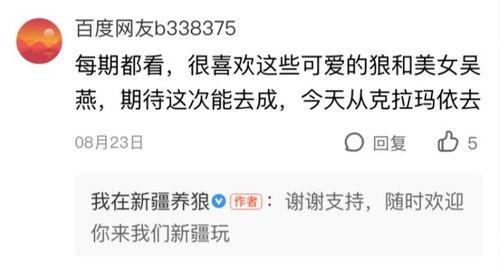 大力最新爆料去哪了视频,大力最新爆料视频神秘失踪，真相成谜！
